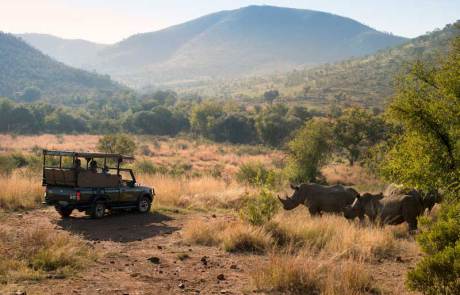 Game Drive